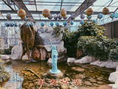 -南宫五洲植物乐园