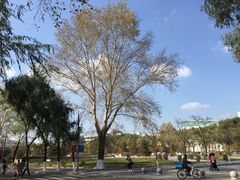 -吉林大学(前卫南区)