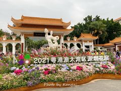 -深圳仙湖植物园