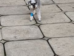 -邢大夫动物医院