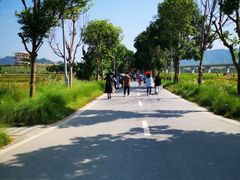 -光明小镇欢乐田园