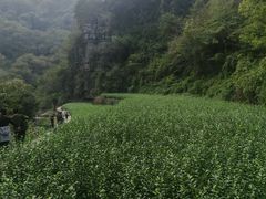 -十九峰景区-倒脱靴