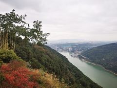 -铁山坪森林公园