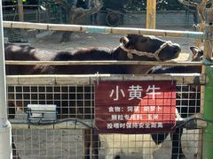 -青青世界