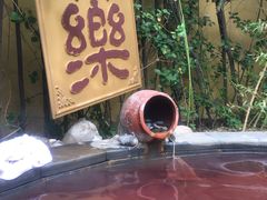 -仁爱团泊湖温泉中心