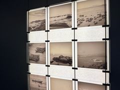 -小厨师·二十年沈家门小海鲜(百井坊巷店)