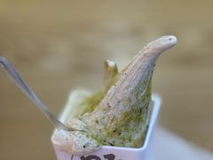 -野人先生Gelato(上海长宁龙之梦店)