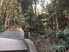-宝莱纳啤酒花园餐厅PAULANER BRAUHAUS Nanjing(广州路店)