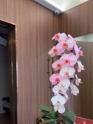 -Dr.U博士医疗美容医院