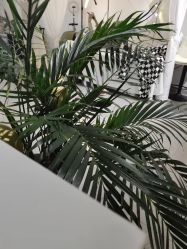 -原生美学·SMP3D纹发·纹野生眉