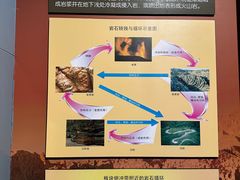 -大庆石油科技馆