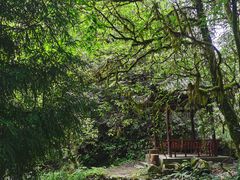 -西岭雪山大飞水景区