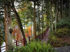 -广州市石门国家森林公园