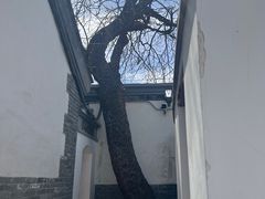 -北京鲁迅博物馆(北京新文化运动纪念馆鲁博馆区)