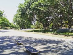 -永定河休闲森林公园