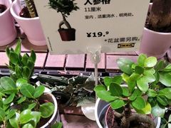 -IKEA宜家家居(南京商场)
