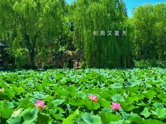 -莲池书院博物馆