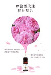 -东方美美容SPA会所