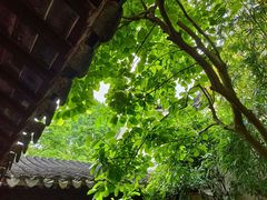 -苏州园林博物馆