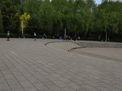 -青城公园