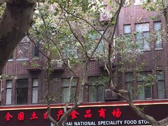 -上海全国土特产食品商场(淮海中路店)