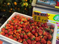 -老炳·七丛松甘草水果