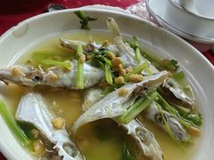 -蛇口康乐快餐鱼仔档(翠苑小区店)