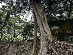 -威远炮台