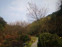 -桃花岭景区