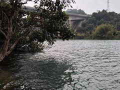 -广州市流溪河国家森林公园