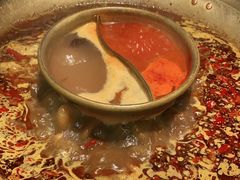 -哥老官重庆美蛙鱼头(宝山龙湖店)