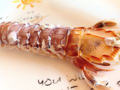 虾肉饱满-雅逸居海鲜小厨