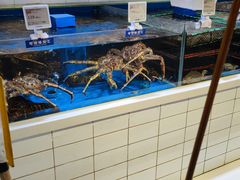-T11生鲜超市(朝阳公园店)