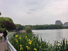 -美兰湖景区