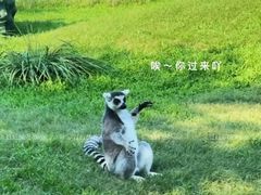 -秦皇岛野生动物园