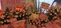 -KS科逆美肤祛痘