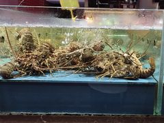 -阿伟海鲜楼·福建菜(延寿店)