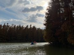 -上海海湾国家森林公园