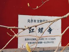 -向外鱼乐·土菜·虹鳟鱼