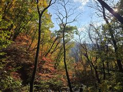 -三块石国家森林公园