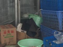 -金太粽(上海弄堂第一粽店)