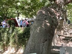 -青岛崂山太清宫
