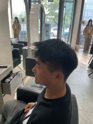 -爱维丽