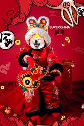 -象北鼻儿童摄影(西源集店)