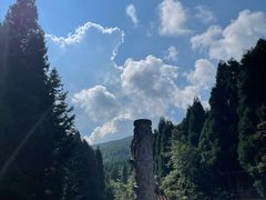 -武陵山森林公园