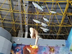 -北京海洋馆