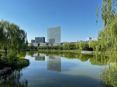 -大兴滨河森林公园