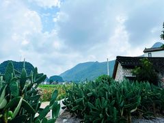 -万峰林风景区