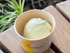 -LUNEURS月乐诗 冰淇淋咖啡(环贸店)