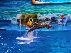 -多彩贵州城极地海洋世界